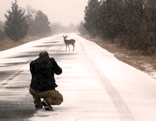 Manoj clicking a picture of a doe at Sandy Hook, NJ